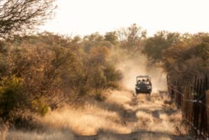 Jäger mit Fahrzeug in der Wüste bei der Jagd
